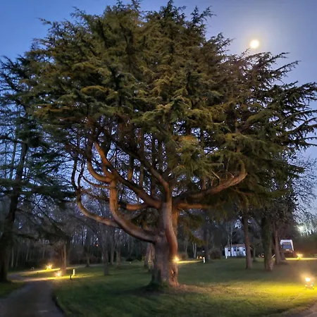 Studiotel Premium 2 Personnes * Pamiers