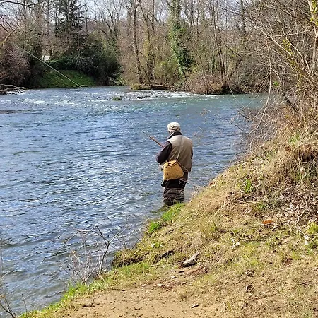 Kemp Studiotel Premium 2 Personnes *