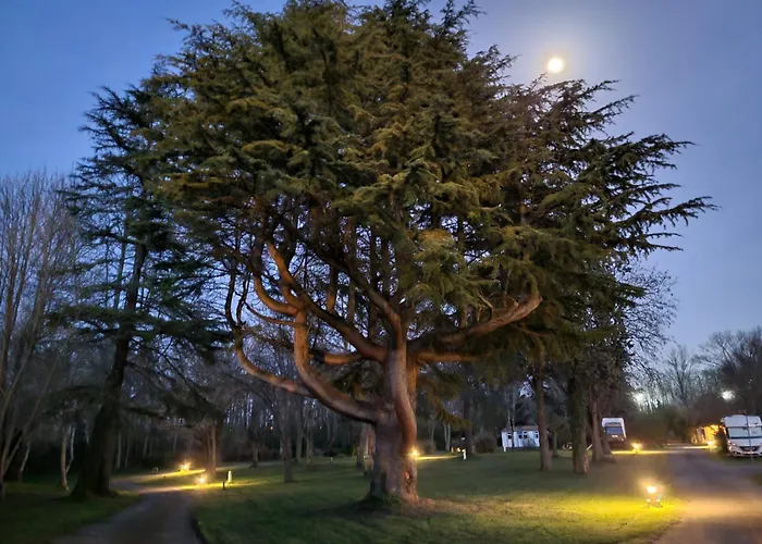 Studiotel Premium 2 Personnes * بامييه