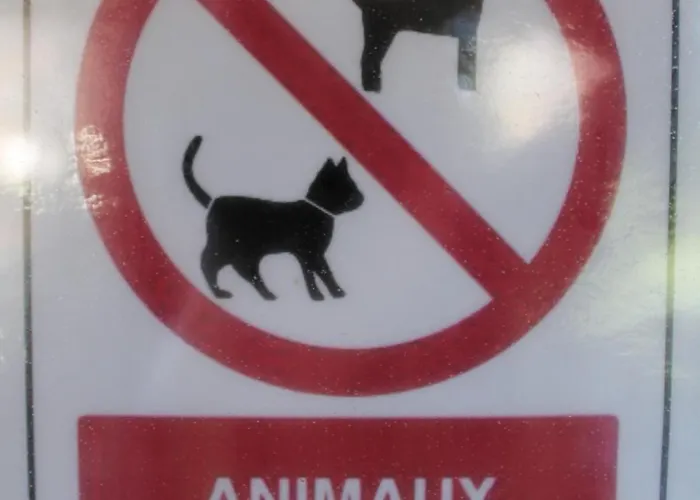 مكان تخييم Studiotel Premium 2 Personnes بامييه